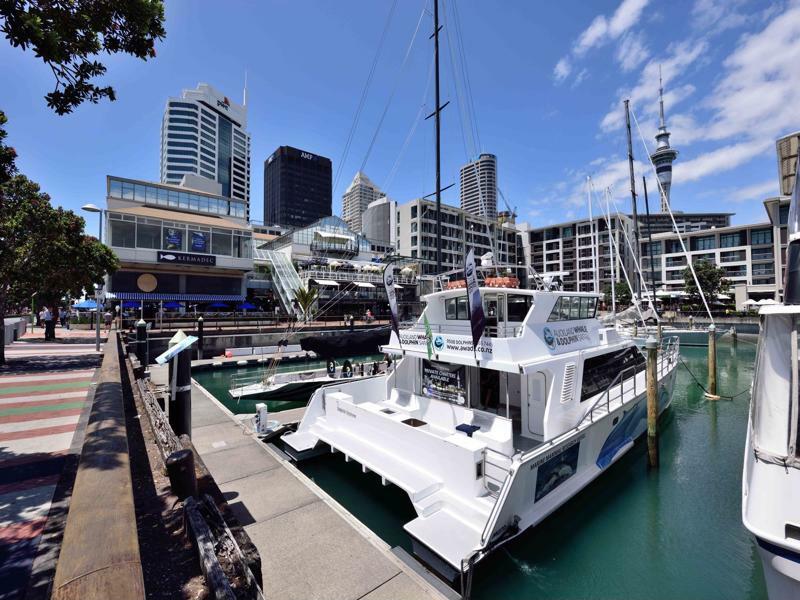Furnished Apartment In Auckland Cbd Eksteriør billede
